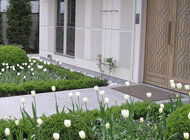 Efektowny ogród Ambasady Arabii Saudyjskiej w Warszawie – kolejną realizacją Ogrodowni