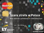 Szara strefa w Polsce w 2014 roku wyniosła 12,4% PKB. Upowszechnienie płatności elektronicznych może znacząco zmniejszyć ten poziom