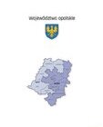 Zgodnie z ubiegłorocznymi prognozami podregion opolski wyprzedził nyski