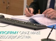 Polskie mikrofirmy i małe firmy mają się dobrze, ale w przyszłość patrzą z niepokojem