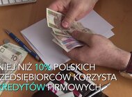 Tylko 10% polskich firm bierze kredyty. Czego się obawiają?