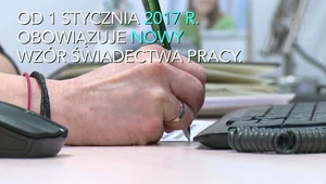 Nowe świadectwo pracy. Czy korzystne dla pracowników?