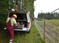 Energa usunie awarie po Grzegorzu do końca dnia