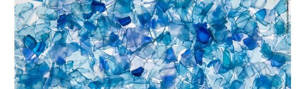 european_economic_and_social_committee.pdf