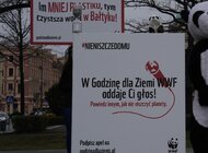 Zgaś dziś światło bo „Ty też niszczysz swój dom”! Rekordowy finał akcji Godzina dla Ziemi WWF 