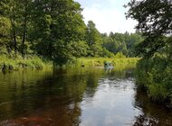 Odpoczynek nad rzeką w zgodzie z naturą