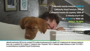 Provident z nową, rodzinną reklamą „Pożyczki wynajmowanej” 