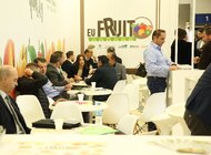 Zrównoważony rozwój, jakość i bezpieczeństwo  – najczęściej poruszane tematy na tegorocznych targach FRUIT LOGISTICA