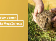 Darmowy domek dla jeża MegaZwierza