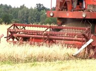 Pandemia im niestraszna: polscy rolnicy inwestują w maszyny