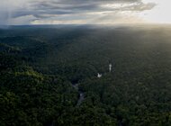 Świat bez lasów deszczowych to świat bez czekolady