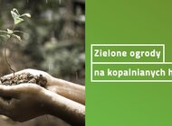 Zielone ogrody na kopalnianych hałdach