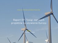 Raport EY: Tysiąc zielonych projektów na ożywienie Europy  