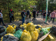 „Polskie plaże bez plastiku” – z helskich plaż w weekend sprzątnięto niemal tonę śmieci
