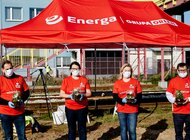 Energa wysiewa łąki i ratuje pszczoły 