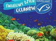 Razem możemy chronić oceany – Auchan odpowiedzialnie na Światowy Dzień Oceanów 