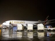 Czempiony wracają do domu na pokładzie Emirates SkyCargo