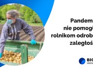 W pandemii firmy rolne hodują zaległości, mają ich już 680 mln zł 
