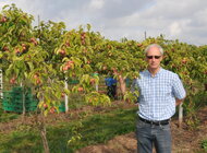 Profesor Piotr Latocha prowadzi badania nad opracowaniem innowacyjnej technologii sortowania owoców minikiwi