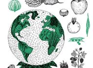WWF Polska i Lidl Polska uczą dzieci jak jeść, aby dbać o planetę 