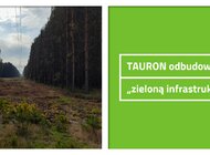 TAURON odbudowuje „zieloną infrastrukturę”