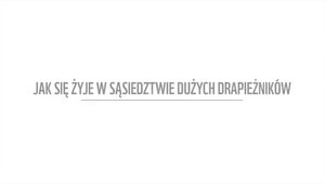 Polacy chcą chronić dzikie drapieżniki. Co na to hodowcy?