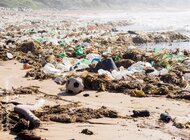 Początek końca plastiku? WWF komentuje nadchodzące międzynarodowe negocjacje.
