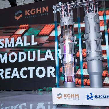 Model reaktora NuScale Power (1)