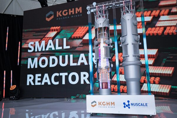 Model reaktora NuScale Power (1)