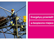 Energetycy przenieśli gniazdo bocianów w bezpieczne miejsce