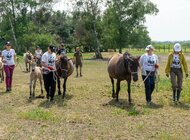 Konie na straży rezerwatów chronionych prywatnie