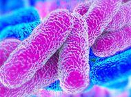 “Legionella pneumophila” pod okiem naukowców z SGGW