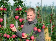 Carrefour wspiera sadowników, którym wichura i gradobicie zniszczyły całe uprawy — powstała specjalna linia soków jabłkowych NFC pod marką własną “Jakość z Natury”