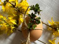Wielkanocne barwienie jajek. Jak wykonać je bardziej zdrowo i ciekawie?