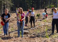 „Wybierz nas, posadź las”. Poczta Polska posadziła tysiące drzew 