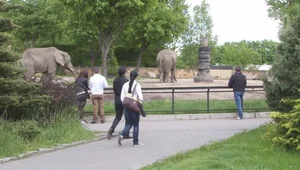 Zoo – miejsce rekreacji i nauki