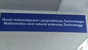 Pasja czy dobra praca? Dylematy przy wyborze studiów