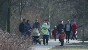 Tarocistka rozkłada karty: jaki będzie przyszły rok