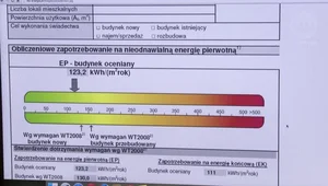 Audyty energetyczne obowiązkowe dla polskich firm?