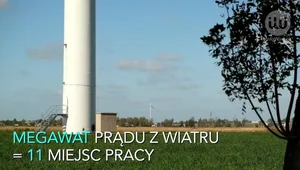 Regulacje prawne spowolnią rozwój energetyki wiatrowej w Polsce?