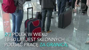 66% Polek chce pracować za granicą