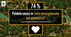 rzekaNieuregulowana.png