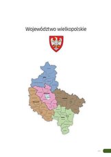 Raport_2016_wielkopolska.pdf