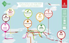 SkyFresh-Infographic-What-makes-400000-tonnes.jpg