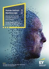 EY FRAUD SURVEY 2017.pdf