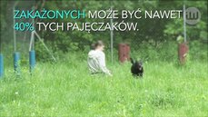 Ewa Sady_ochrona przed kleszczem.mov