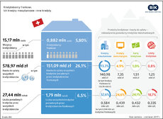 BIK_kredytobiorcy_frankowi_infografika_czerwiec2017.jpg