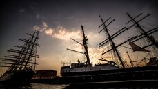 zdj_Enea na The Tall Ships Races 2017 w Szczecinie_1.jpg