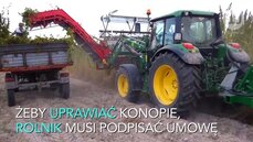 Uprawa konopi w Polsce_MATERIAŁ ZMONTOWANY.mov