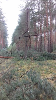 Zniszczona infrastruktura Enei Operator po orkanie Ksawery 2017 (Rejon Dystrybucji Leszno) (2).jpg